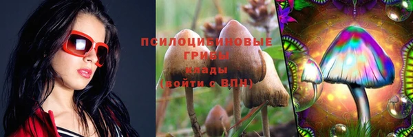 гашик Армянск