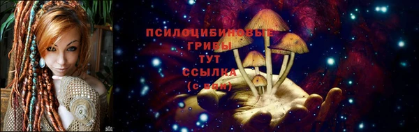 PSILOCYBIN Арсеньев
