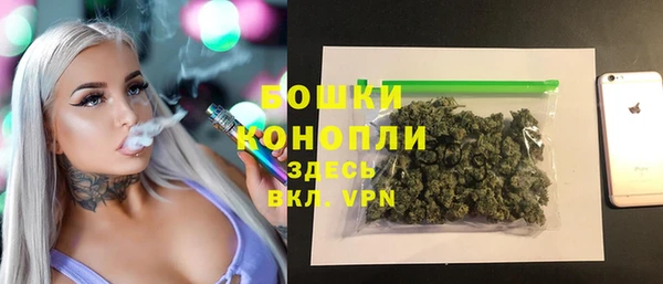 PSILOCYBIN Арсеньев