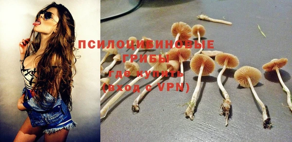 PSILOCYBIN Арсеньев