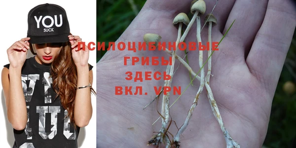 PSILOCYBIN Арсеньев
