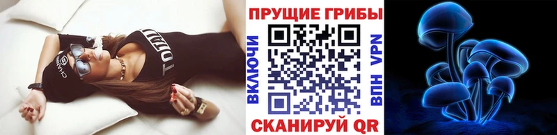 Купить Данилов Псилоцибиновые грибы Psilocybe