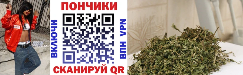 Бошки марихуана ГИДРОПОН  Купить где  Данилов 
